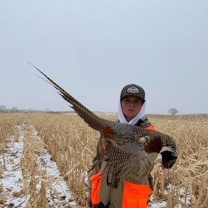 Meet your Posher, Gage